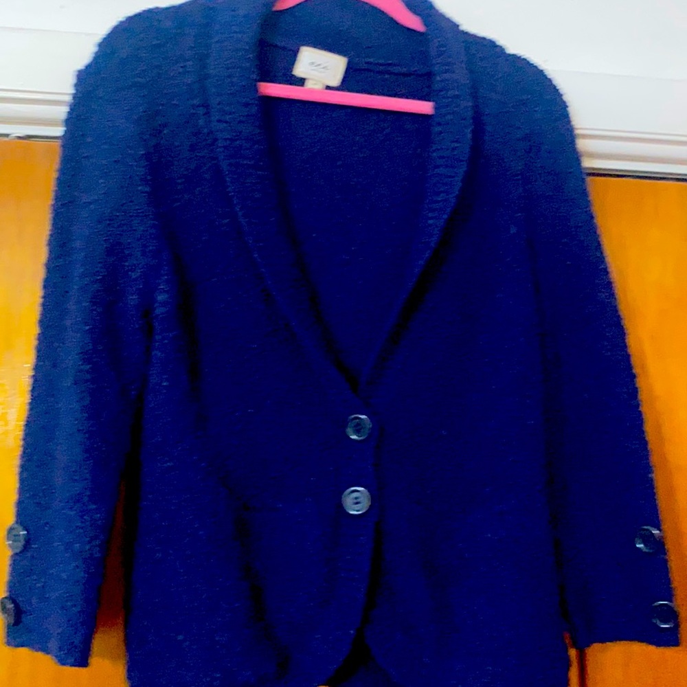 ECI NY Blue Waist length sweater